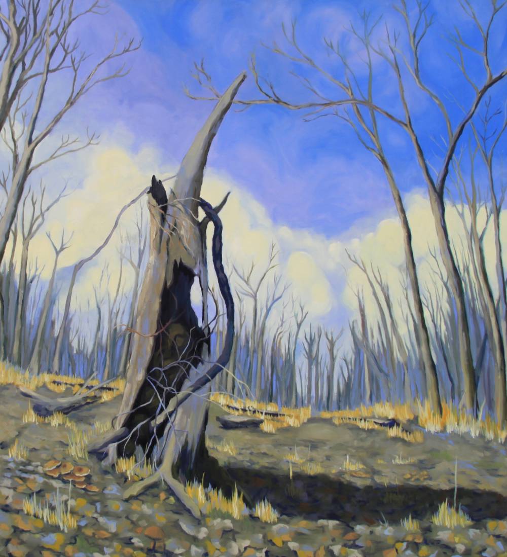 gnarled tree stump in barren field